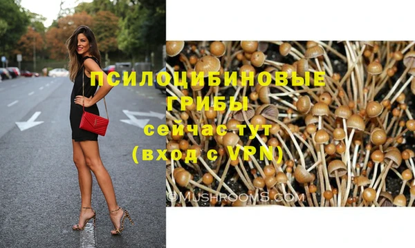 первитин Касимов