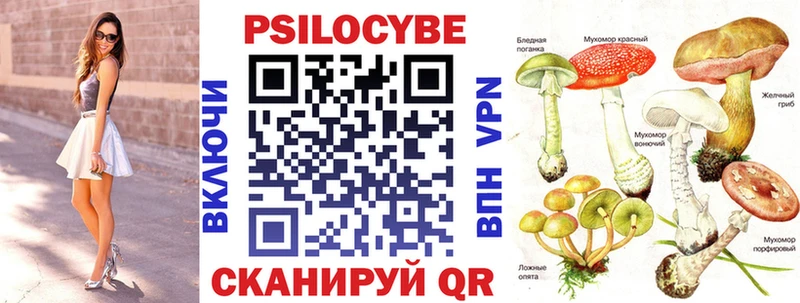 Псилоцибиновые грибы мицелий  Купить где  Снежногорск 